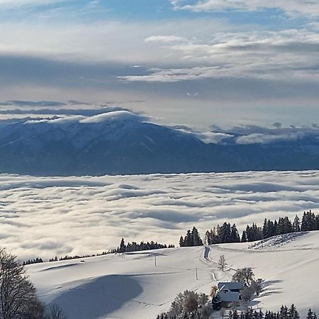 Diex Almchalet Schusterヴィラ エクステリア 写真