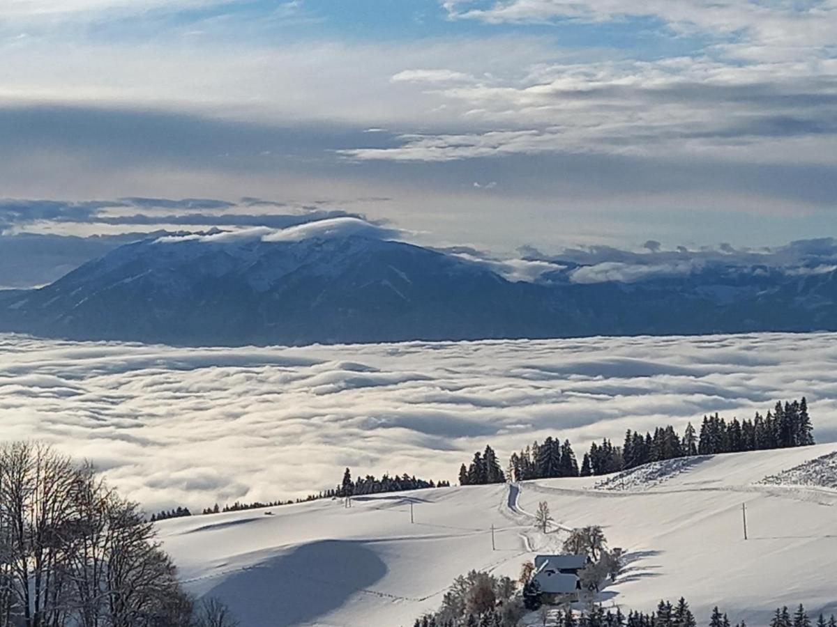 Diex Almchalet Schusterヴィラ エクステリア 写真